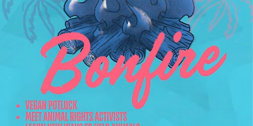 \ud83d\udd25 THE BIG VEGAN BONFIRE (South Florida)