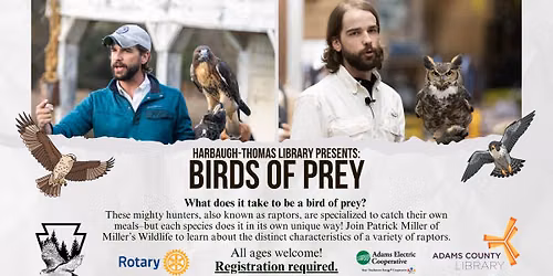 Birds of Prey