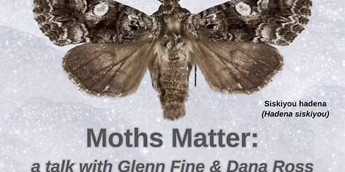 Moths Matter: A Talk with Glenn Fine & Dana Ross