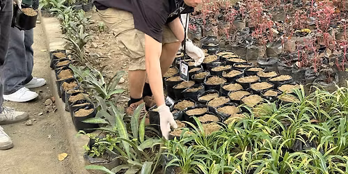 iAdvocate: Zoo-per Hero for a Day