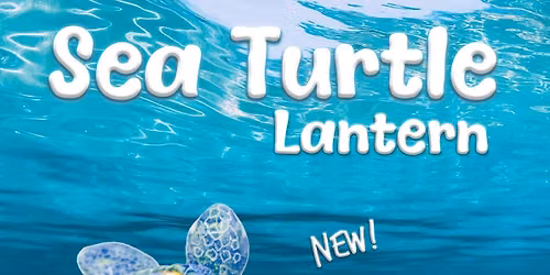 Sea Turtle Lamp class 