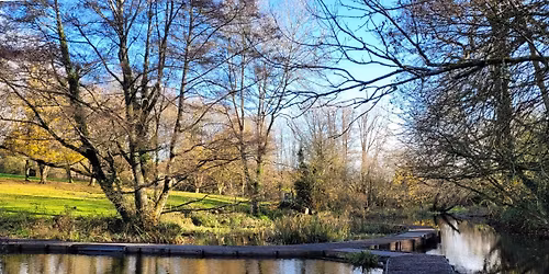 Sun 18th Jan - Flood Meadows Conservation Working Party - all Welcome