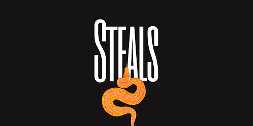The Steals at Ballyhoos