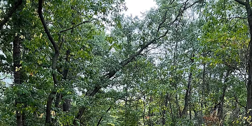 Women's Group Walk & Talk at Jensen Lake - Eagan, MN