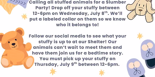 Stuffed Animal Slumber Party