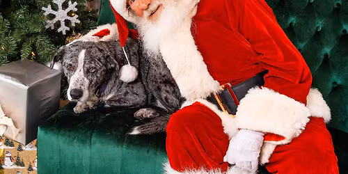 Santa Paws benefitting the Humane Society for Greater Savannah