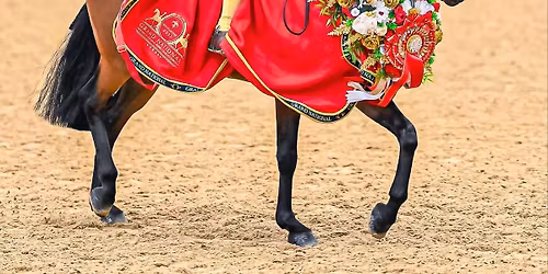 Thames Grand National Saddle Horse and Rider Championships
