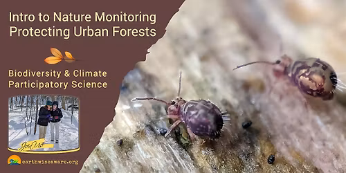Introduction to Nature Monitoring \u2013 Protecting Urban Forests