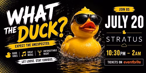 DISCO HOUSE EXTRAVAGANZA featuring WHAT THE DUCK? on the rooftop!!!