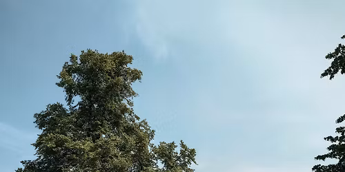 Flohmarkt Lehmweg HH-Eppendorf