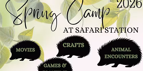 Spring Camp at Safari Station
