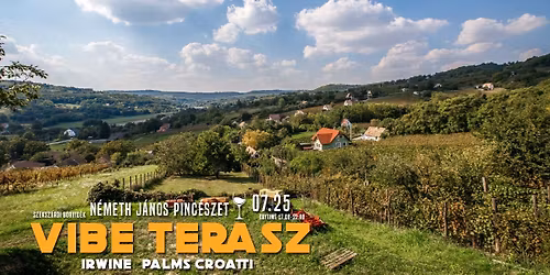 Vibe Terasz \u276f\u276f\u276f 07.25. \u276f\u276f\u276f N\u00e9meth J\u00e1nos Pinc\u00e9szet, Szeksz\u00e1rd
