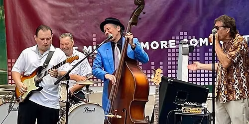 Hey, you dogs! Vacation's Over!