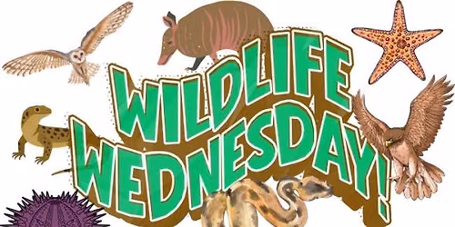Wildlife Wednesday: Uncharted Wild