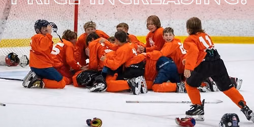 State Games of Michigan Hockey Tournament