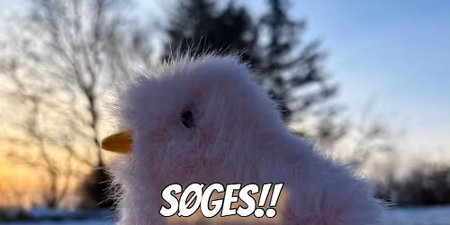 \u201cALLE MINE KYLLINGER KOM HJEM\u201d \ud83d\udc25