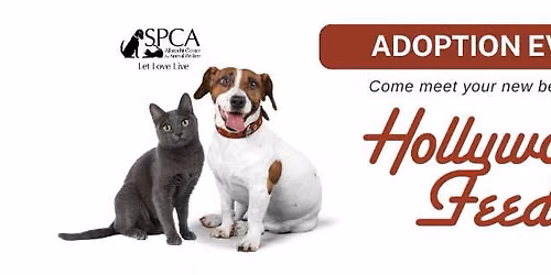 Adoptions at Hollywood Feed