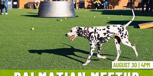 Dalmatian Meetup 