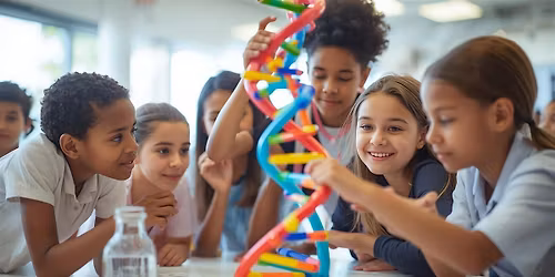 Hands-On STEM Workshop: Gummy Bear Osmosis- FREE EVENT