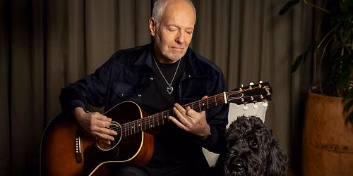 Frampton Comes Alive