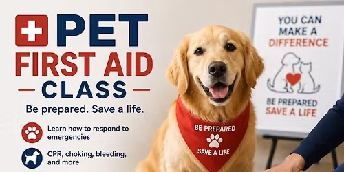 Pet First Aid