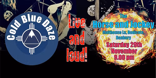 Cold Blue Daze Rock the Horse and Jockey!