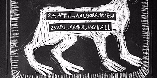 Morild + Lysb\u00e6rer