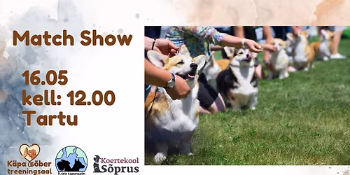K\u00e4pas\u00f5ber Match Show! 