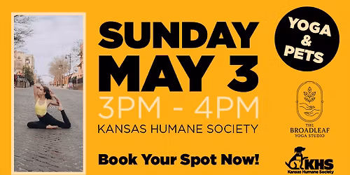 Yoga & Pets