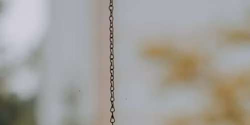 Pendulums with Patti