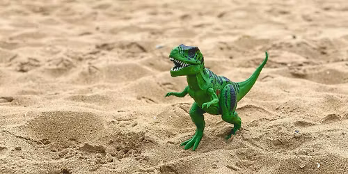 Dino Egg Discovery