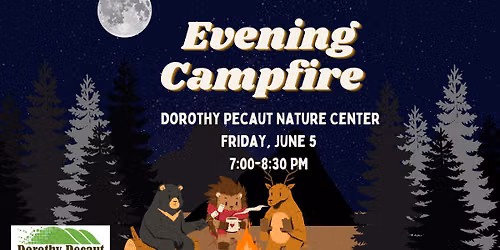 Evening Campfire