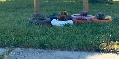Landscaping the Tiny Home