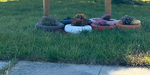 Landscaping the Tiny Home