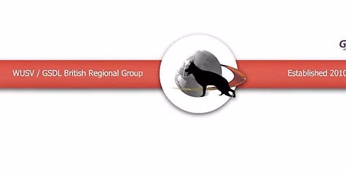 Midland Region GSD Group Regional Show