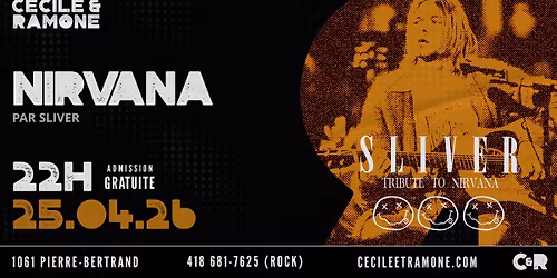 HOMMAGE - NIRVANA par SLIVER