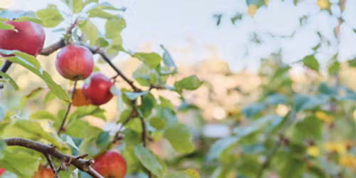 Kath Irvine book chat and signing.