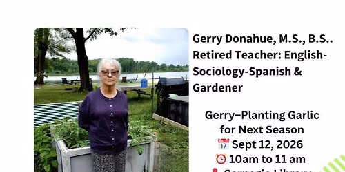 Planting Garlic for Next Season