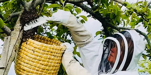 DofE Gold Residential - Beekeeping 