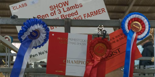 Rugby Christmas Fatstock Show and Sale