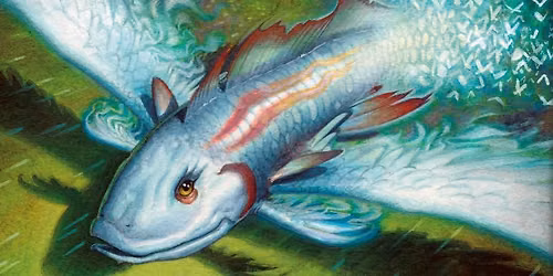 KRUGER COMICS MTG PAUPER TOURNAMENT