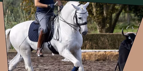 Gab n' Giddy Up - Working Equitation