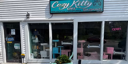 Celebrating 1 YEAR of Cozy Kitty Cafe and ___adoptions
