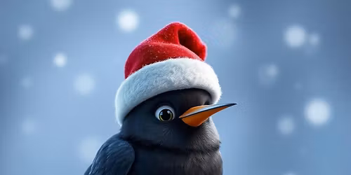 Creston Christmas Bird Count