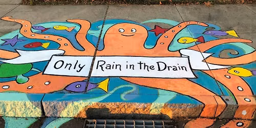 Only Rain in the Drain Community Clean Water Project