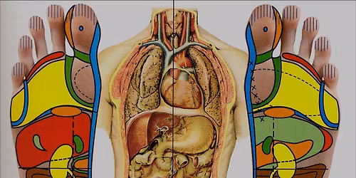 Foot Reading 101 Workshop - personality analysis through the feet.