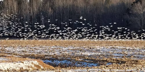 Sierra Club Delaware at CLC for a Special Earth Day Presentation!