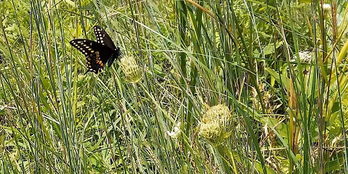 Emily Oaks Nature Center