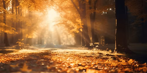 The Path: Modern Buddhist Teaching