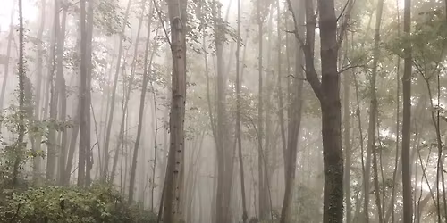 Noch 3 freie Pl\u00e4tze! schamanische Yin Yoga Reise